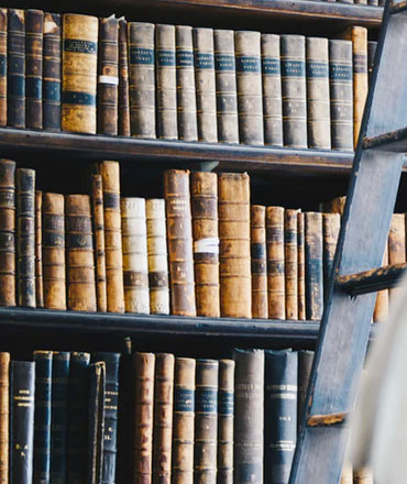 The rise of investment fraud